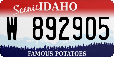 ID license plate W892905