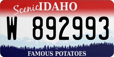 ID license plate W892993