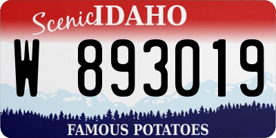ID license plate W893019