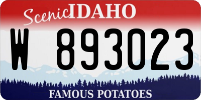 ID license plate W893023