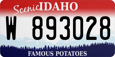 ID license plate W893028