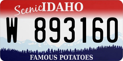 ID license plate W893160