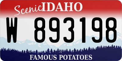 ID license plate W893198