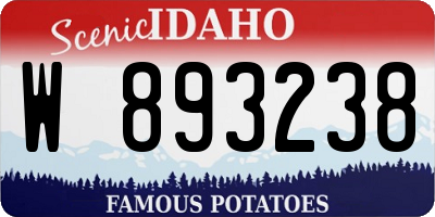 ID license plate W893238