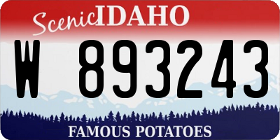 ID license plate W893243