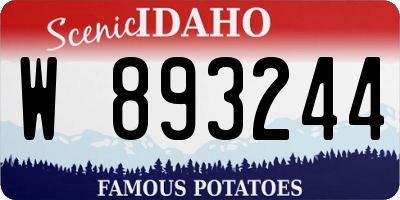 ID license plate W893244