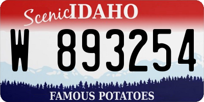 ID license plate W893254