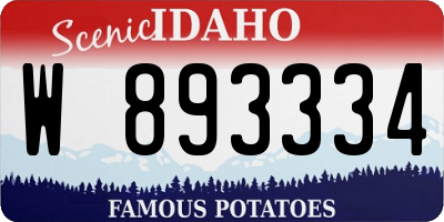 ID license plate W893334