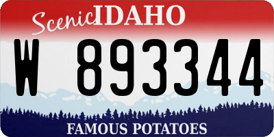 ID license plate W893344
