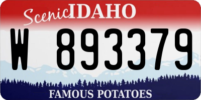 ID license plate W893379