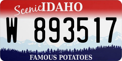 ID license plate W893517
