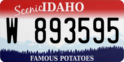 ID license plate W893595