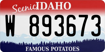 ID license plate W893673