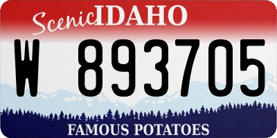 ID license plate W893705