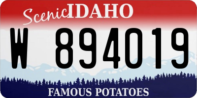 ID license plate W894019