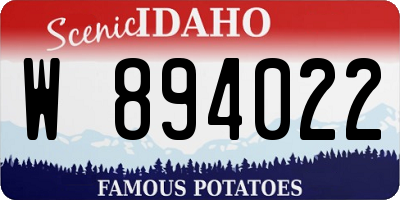 ID license plate W894022