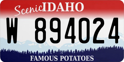 ID license plate W894024