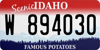 ID license plate W894030