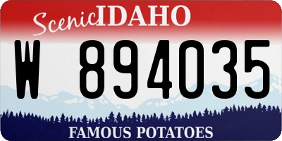 ID license plate W894035