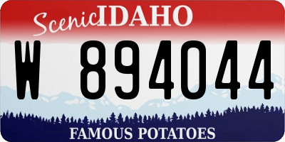 ID license plate W894044