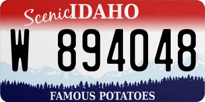 ID license plate W894048