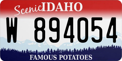 ID license plate W894054