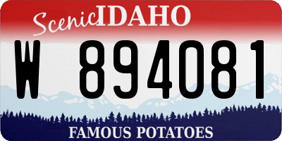 ID license plate W894081