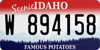 ID license plate W894158