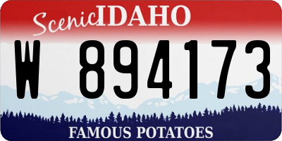 ID license plate W894173