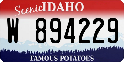 ID license plate W894229