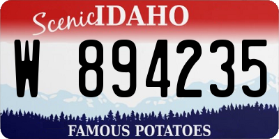 ID license plate W894235