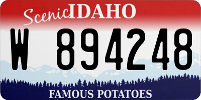 ID license plate W894248