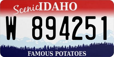 ID license plate W894251
