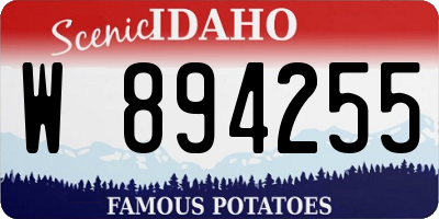 ID license plate W894255