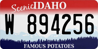 ID license plate W894256