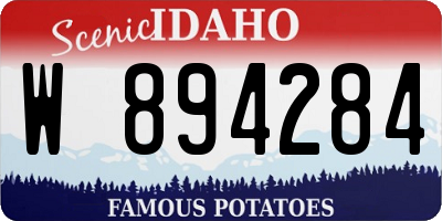 ID license plate W894284