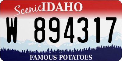 ID license plate W894317