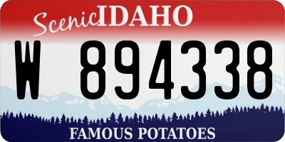 ID license plate W894338