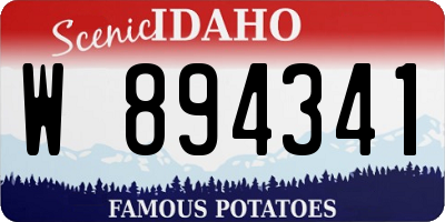 ID license plate W894341