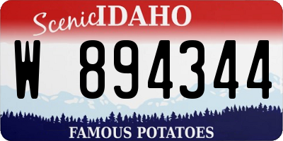 ID license plate W894344