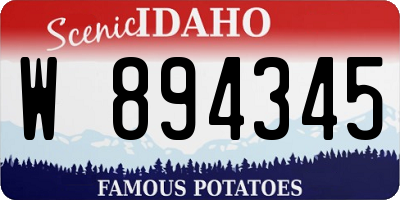 ID license plate W894345
