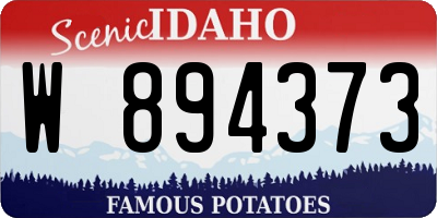 ID license plate W894373