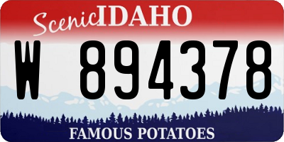 ID license plate W894378