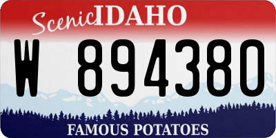 ID license plate W894380