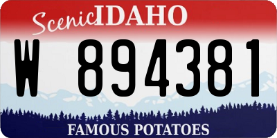 ID license plate W894381