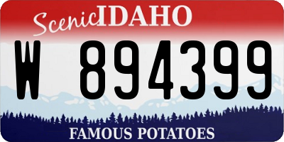ID license plate W894399