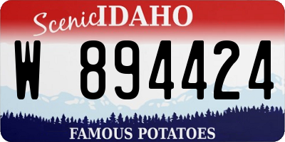 ID license plate W894424