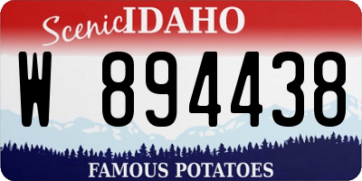 ID license plate W894438
