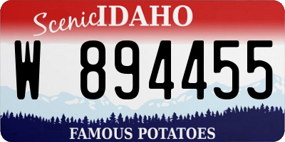 ID license plate W894455
