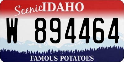 ID license plate W894464